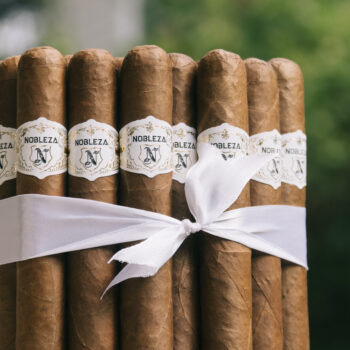 La Corona - Bundle of 25